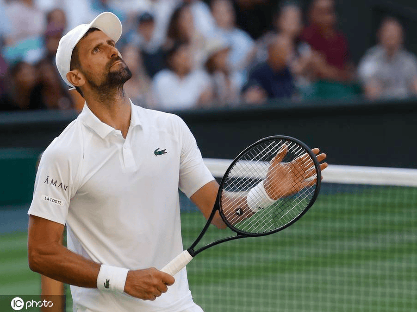 问鼎娱乐-德约科维奇连续十五场比赛得分超过逆转，雄鹿挑战极限！的简单介绍